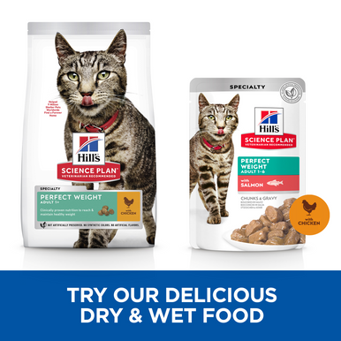 Hill's Science Plan Perfect Weight Adult 1-6 Wet Cat Food Pouches - Delicious Selection