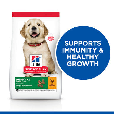 Hill's Science Plan Large Puppy Dry Dog Food - Chicken