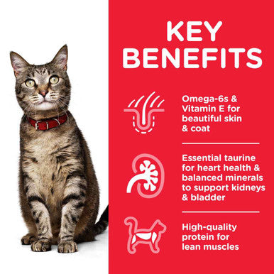 Science Plan 1 6 Dry Cat Food Chicken