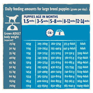 BETA Large Breed Puppy Dry Dog Food - Turkey