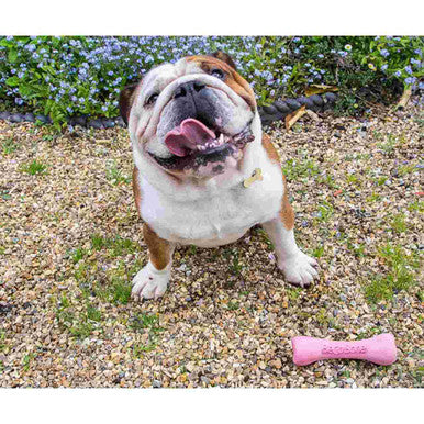 Beco Pets Bone Dog Toy in Pink