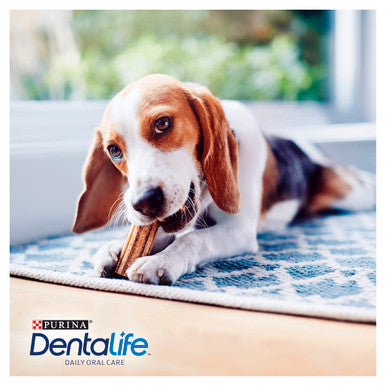 Purina Dentalife Small Adult Dog Chew Treat