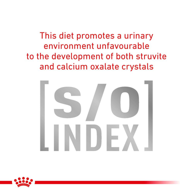 Royal Canin Veterinary Diet Early Renal Adult Dry Cat Food