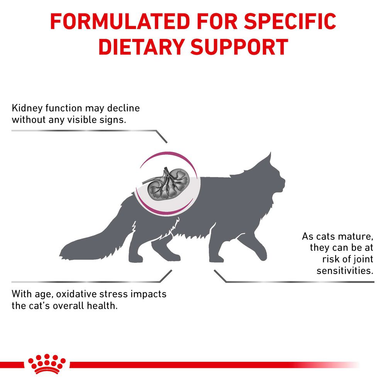 Royal Canin Veterinary Diet Early Renal Adult Dry Cat Food