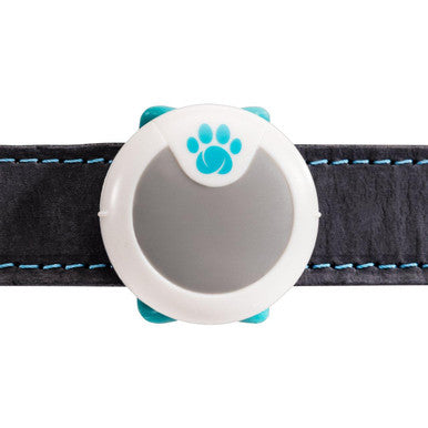 Sure Petcare Animo Activity & Behaviour Monitor for Dog