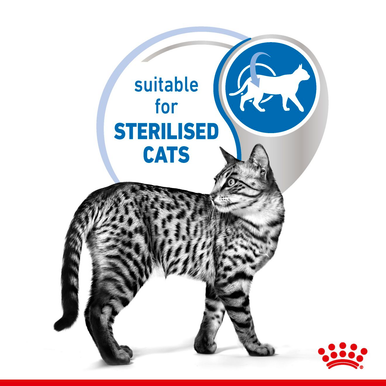 Royal Canin Indoor Adult Sterilized Wet Cat Food - Gravy