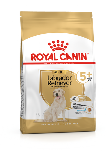 Royal Canin Labrador Retriever Ageing Adult 5+ Dry Dog Food