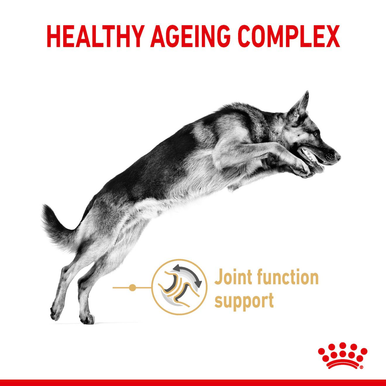 Royal Canin German Shepherd Ageing Adult 5+ Dry Dog Food