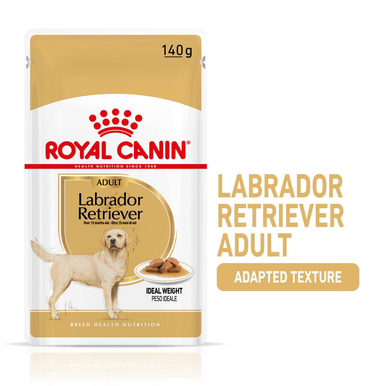 Royal Canin Labrador Retriever Adult Wet Dog Food - Loaf in Sauce