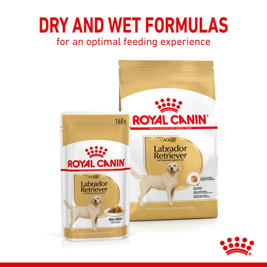 Royal Canin Labrador Retriever Adult Wet Dog Food - Loaf in Sauce