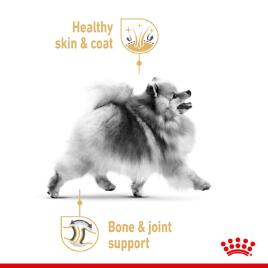 Royal Canin Pomeranian Adult Dry Dog Food