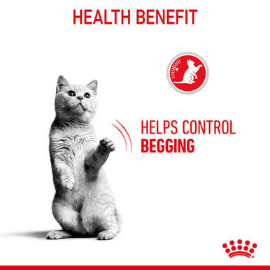 Royal Canin Appetite Control Adult Sterilised Wet Cat Food - Jelly