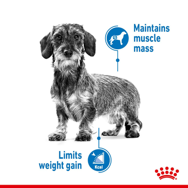 Royal Canin X-small Dry Dog Food