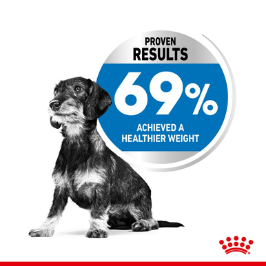 Royal Canin X-small Dry Dog Food