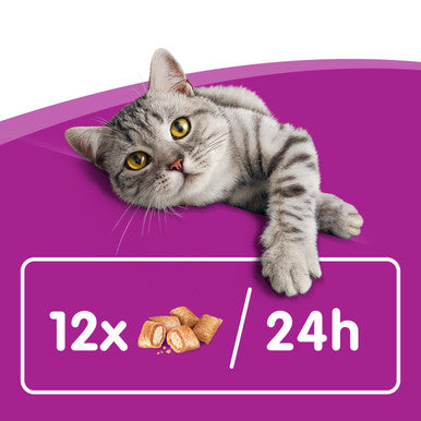 Whiskas Temptations Adult Cat Treats - Salmon