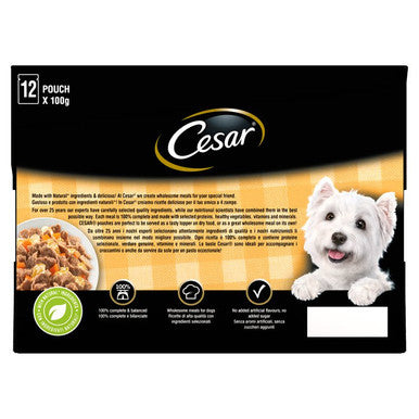 Cesar Deliciously Fresh Adult Wet Dog Food Pouches - Mixed Selection in Jelly