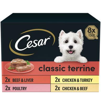 Cesar Classics Terrine Adult Wet Dog Food - Mixed Selection Tray