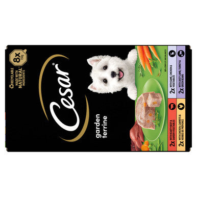 Cesar Garden Terrine Adult Wet Dog Food - Mixed Selection in Loaf