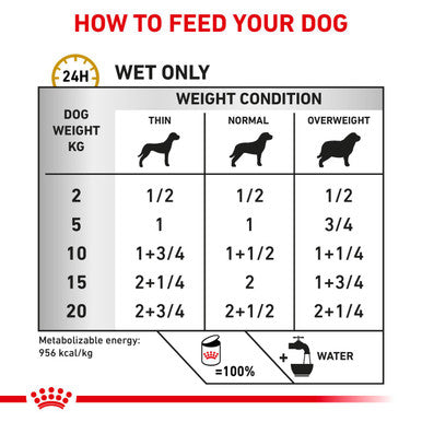 Royal Canin Urinary Adult Wet Dog Food 12 x 410g