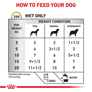 Royal Canin Urinary Adult Wet Dog Food 12 x 100g