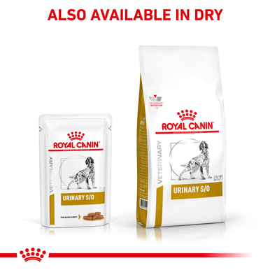 Royal Canin Urinary Adult Wet Dog Food 12 x 100g