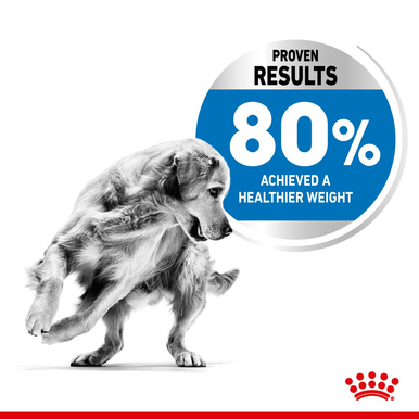 Royal Canin Medium Light Weight Care Adult Dry Dog Food