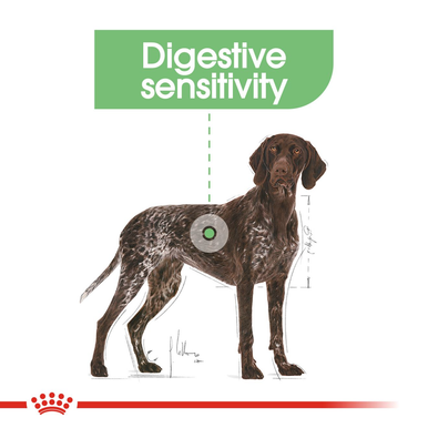 Royal Canin Maxi Digestive Care Adult Dry Dog Food