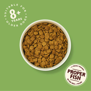 Lily's Kitchen Adult 8+ Scottish Gluten Free Dry Dog Food - Salmon & Trout