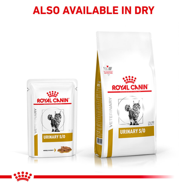 Royal Canin Urinary S/O Morsels in Gravy Adult Wet Cat Food