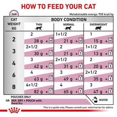 Royal Canin Veterinary Diet Renal Adult Wet Cat Food - Fish