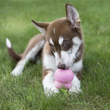 Kong Easy Treat for Puppies - Chicken Liver