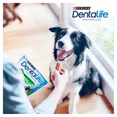 Purina Dentalife Daily Medium Dog Chews Treat