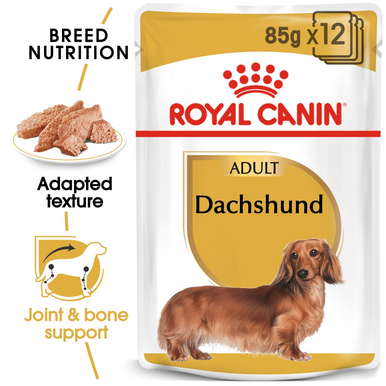 Royal Canin Dachshund Adult Wet Dog Food