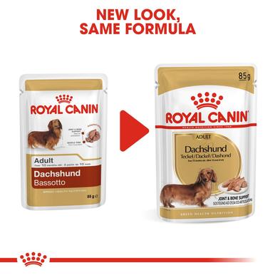 Royal Canin Dachshund Adult Wet Dog Food