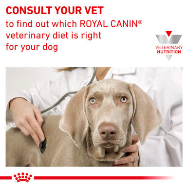 Royal Canin Veterinary Diet Satiety Weight Management Adult Wet Dog Food