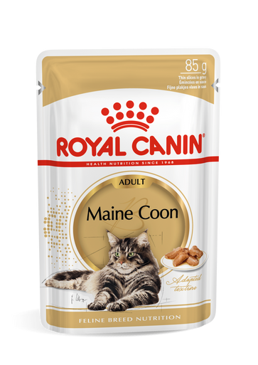 Royal Canin Maine Coon Adult Cat Wet Food in Gravy