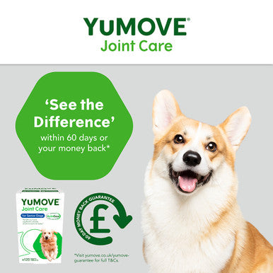 YuMOVE Joint Supplement for Senior Dogs