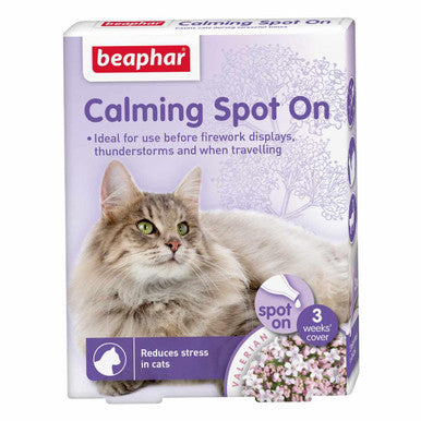 Calming Spot On Cat