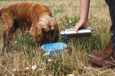 Beco Pets Collapsible Blue Dog Travel Bowl