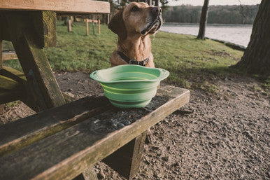 Beco Pets Collapsible Green Dog Travel Bowl