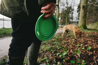 Beco Pets Collapsible Green Dog Travel Bowl