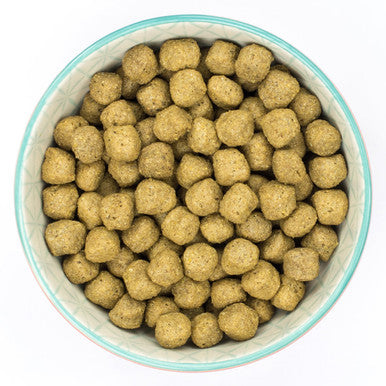 Burns Sensitive Adult/ Senior Fish Dry Dog Food