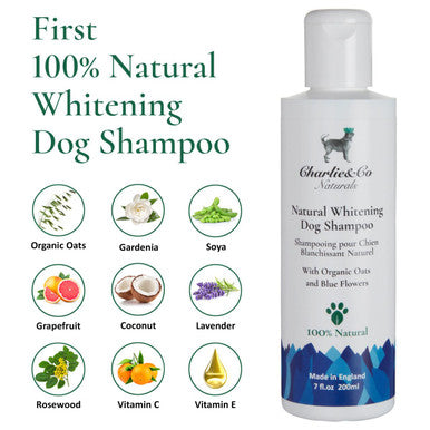 Charlie & Co Natural 100% Natural Whitening Shampoo for Dog