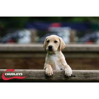 Chudleys Puppy/Junior Dry Dog Food