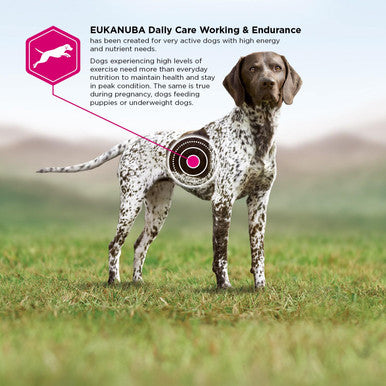 Eukanuba Premium Working & Endurance Dry Dog Food