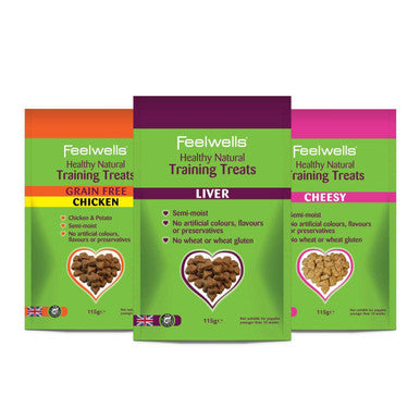 Feelwells Cheesy Dog Training Treat