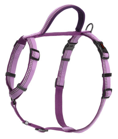 Halti Purple Dog Walking Harness