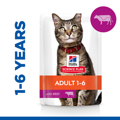 Hill's Science Plan Adult Beef Wet Cat Food