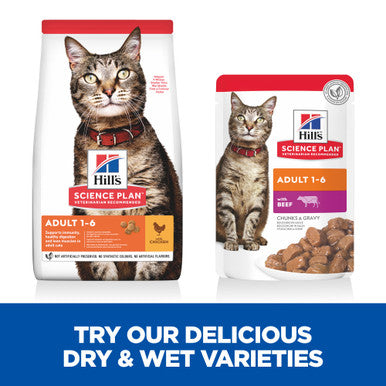 Hill's Science Plan Adult Beef Wet Cat Food