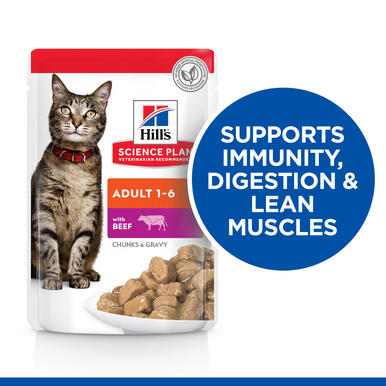 Hill's Science Plan Adult Beef Wet Cat Food